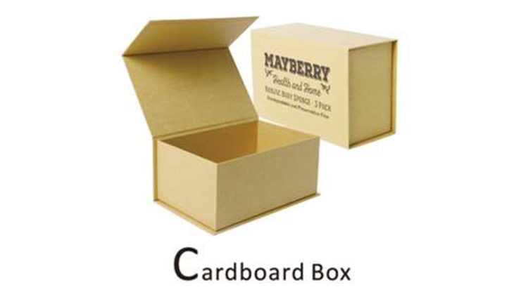 Cardboard Box