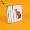 custom animal photo card3